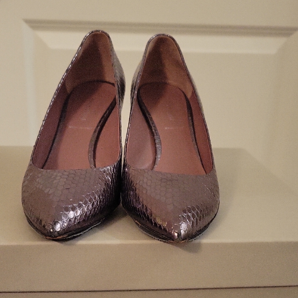 Elegant Silver Women's Pumps